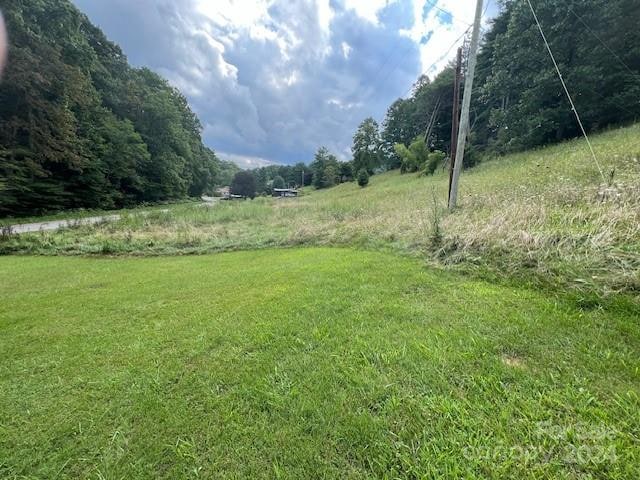 1030 Long Branch Rd, Green Mountain NC, 28740 land for sale