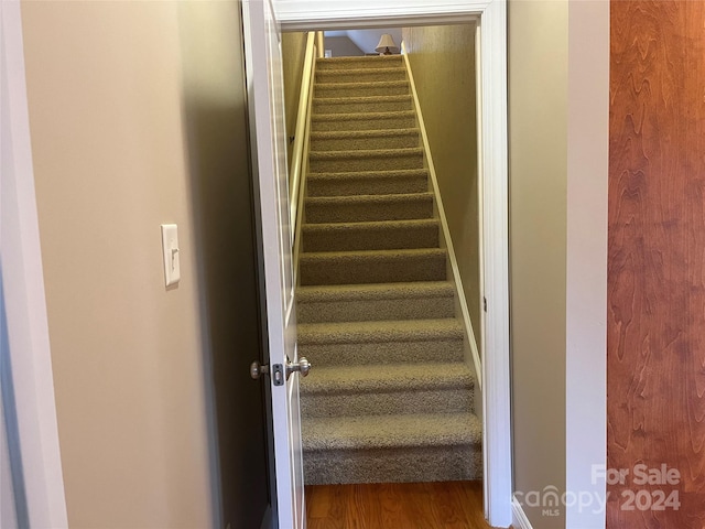 staircase featuring wood-type flooring