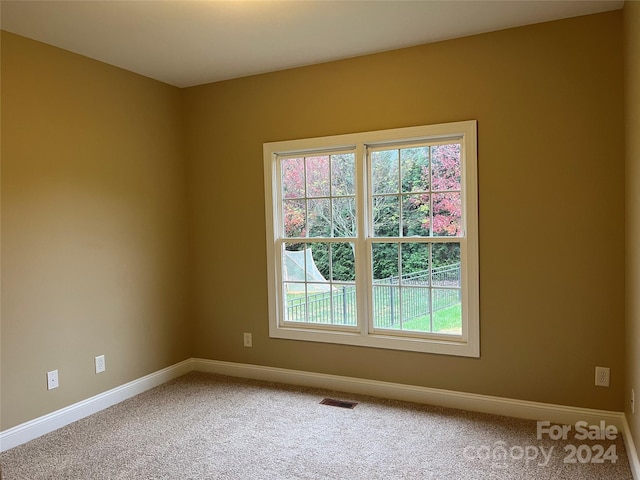 unfurnished room featuring carpet flooring