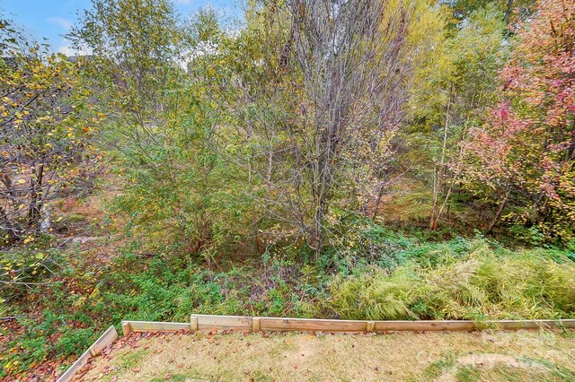 7006 Garden Hill Dr, Huntersville, NC 28078 - photo 39