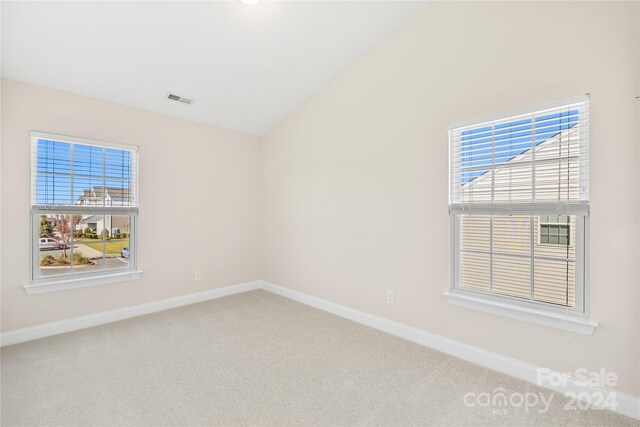 carpeted spare room with a healthy amount of sunlight and lofted ceiling