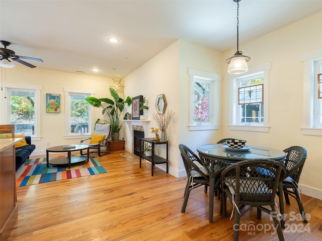 dining area featuring light hardwood / wood-style flooring, a healthy amount of sunlight, and ceiling fan