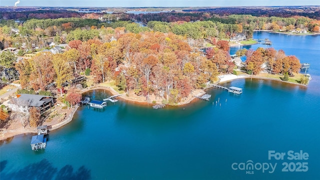 drone / aerial view with a wooded view and a water view