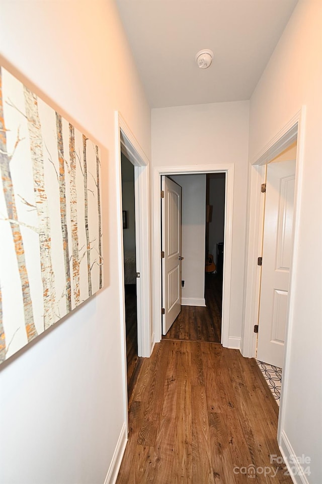 corridor with dark hardwood / wood-style flooring