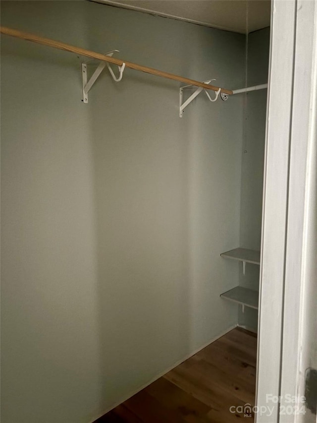 walk in closet featuring wood-type flooring