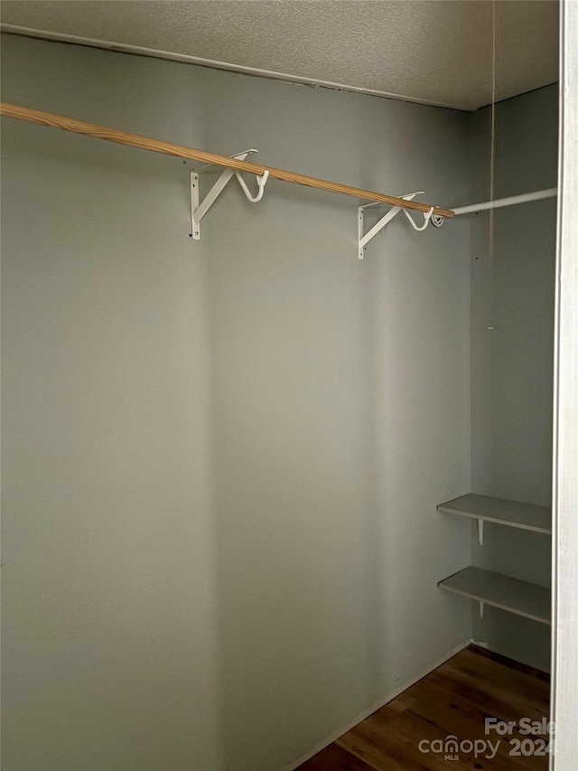 spacious closet featuring dark hardwood / wood-style flooring