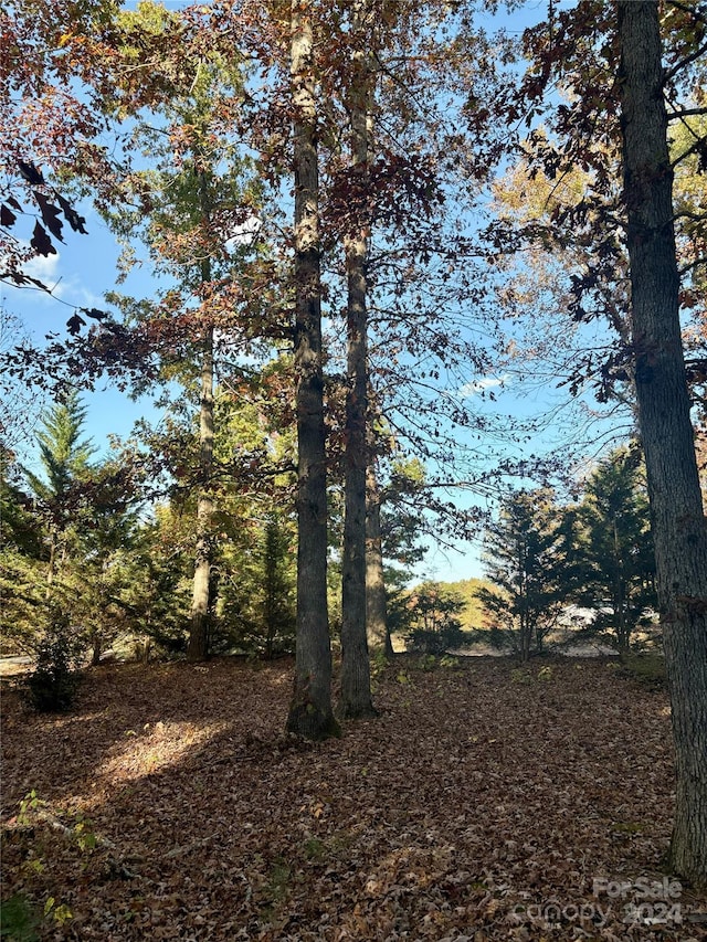 view of landscape