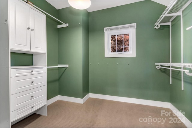 walk in closet featuring light carpet