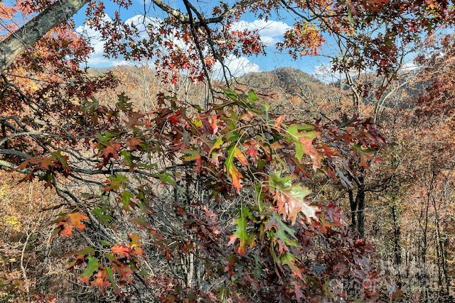 view of nature
