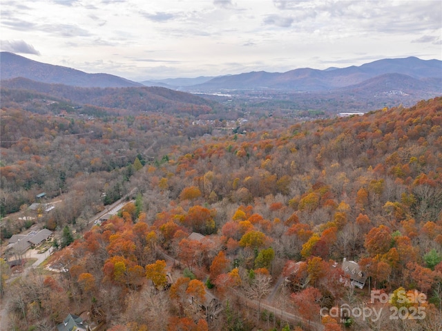 view of mountain feature with a wooded view