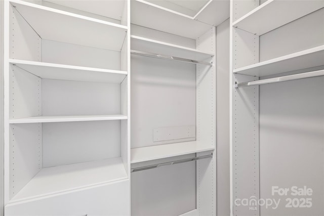 view of spacious closet