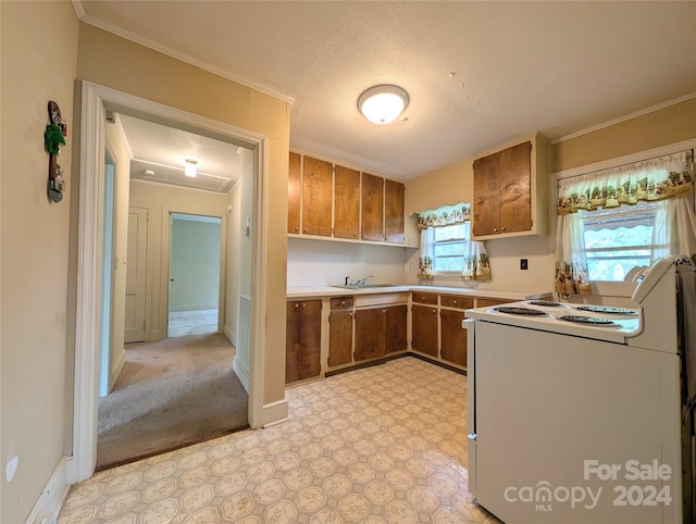 kitchen with crown molding, sink, a textured ceiling, and white range with electric stovetop