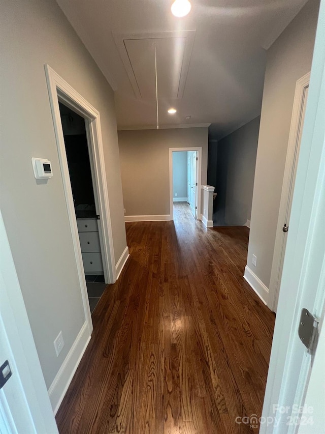 hallway featuring dark wood-type flooring