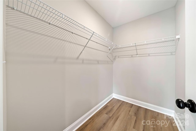 spacious closet with hardwood / wood-style floors