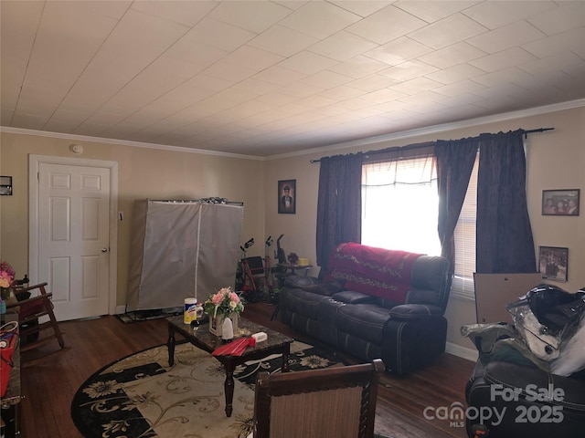 living room featuring crown molding and hardwood / wood-style flooring