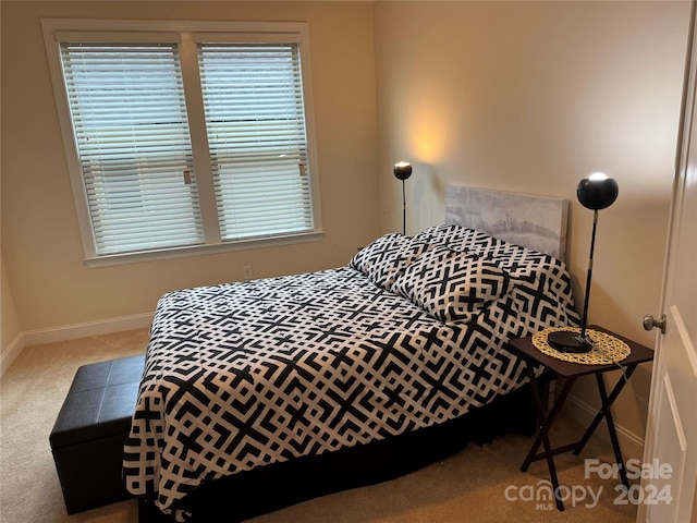 bedroom featuring carpet floors