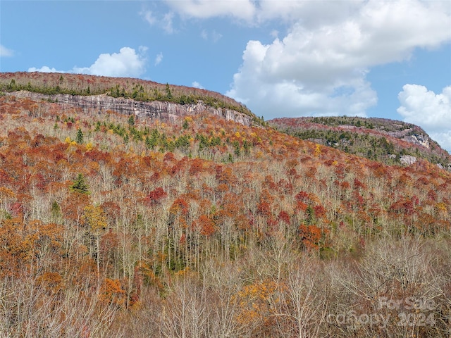 TBD Cold Mountain Rd Hilltop Camp, Hilltop Camp, Lake Toxaway NC, 28747 land for sale