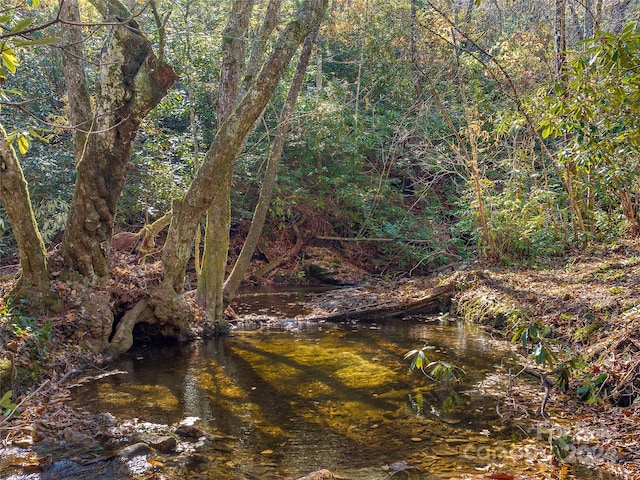 Listing photo 2 for TBD Cold Mountain Rd Hilltop Camp, Hilltop Camp, Lake Toxaway NC 28747