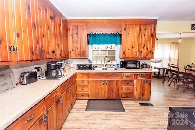 kitchen featuring light wood-type flooring, hanging light fixtures, sink, and crown molding