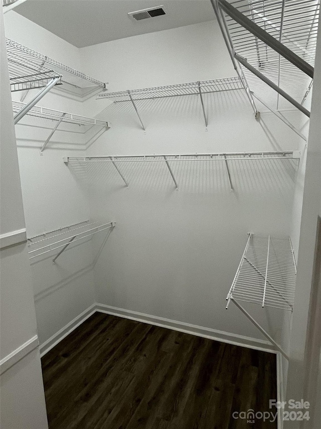 walk in closet featuring wood-type flooring