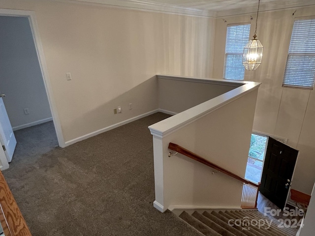 stairway with ornamental molding and carpet flooring