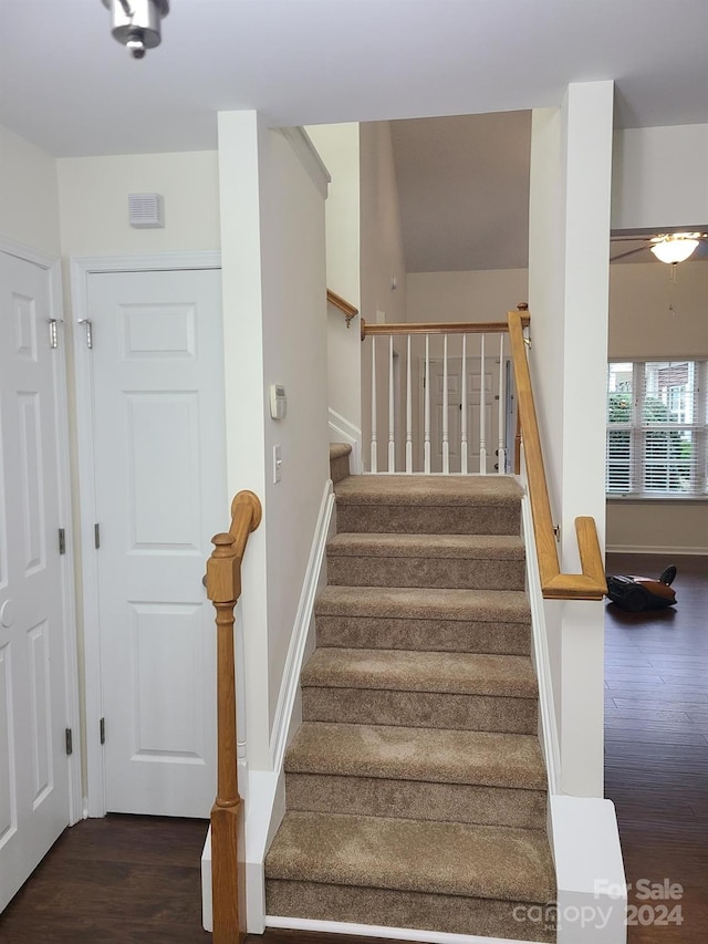 stairs with hardwood / wood-style floors