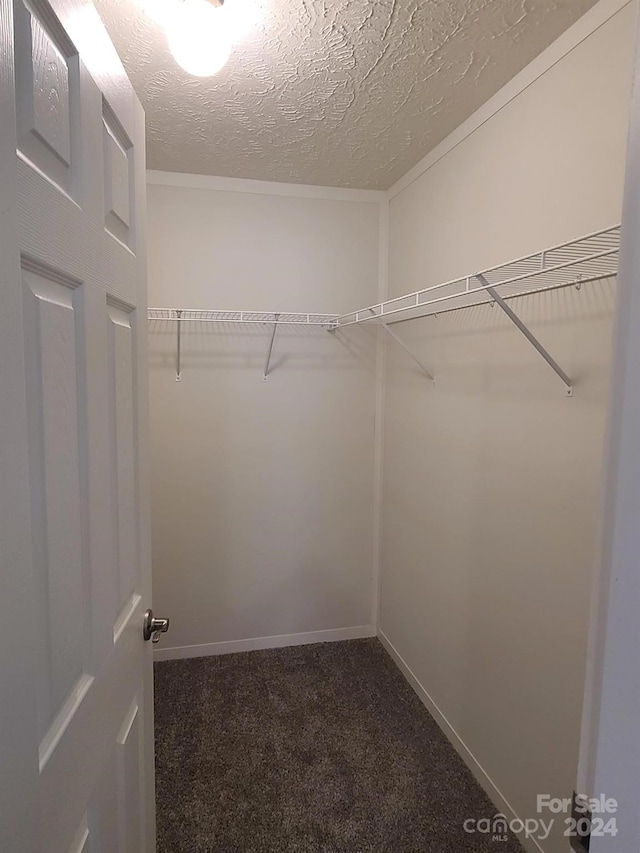 spacious closet featuring dark colored carpet