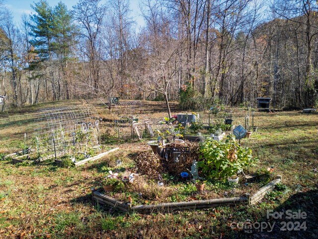 170 Midnight Sun Ln, Old Fort, NC 28762 - photo 14