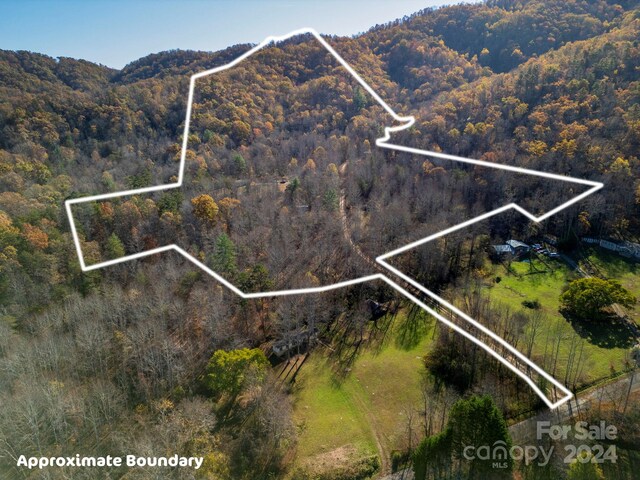 170 Midnight Sun Ln, Old Fort, NC 28762 - photo 17