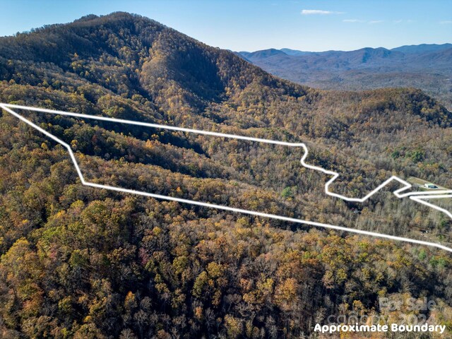 170 Midnight Sun Ln, Old Fort, NC 28762 - photo 19