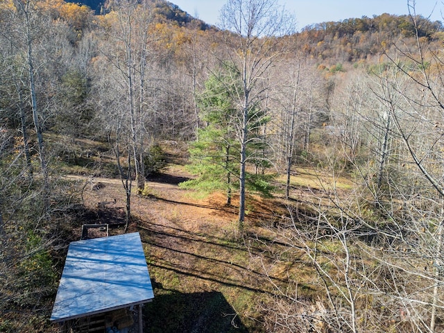 view of yard with a mountain view