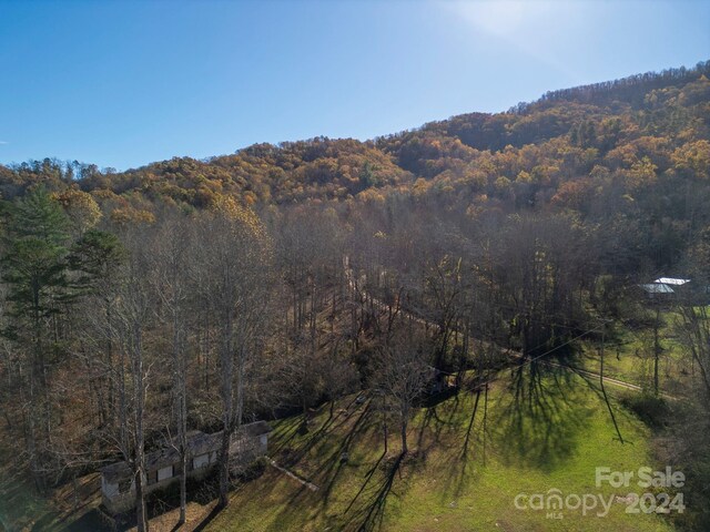 property view of mountains