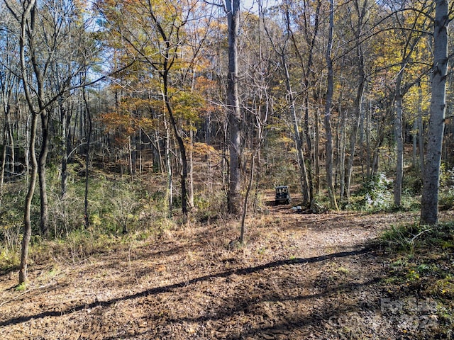 view of landscape