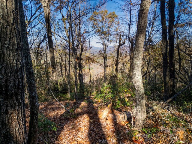 170 Midnight Sun Ln, Old Fort, NC 28762 - photo 27
