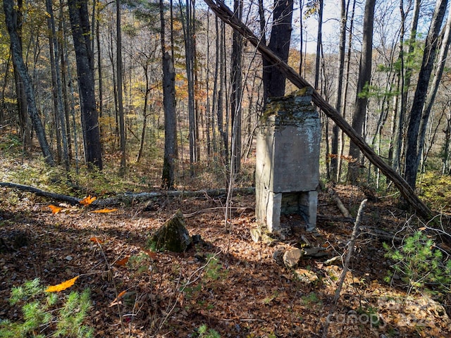 view of local wilderness