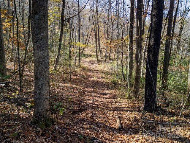 170 Midnight Sun Ln, Old Fort, NC 28762 - photo 29
