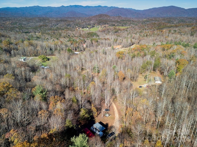 aerial view with a mountain view