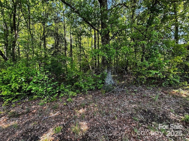 Listing photo 3 for 00 Pineville Rd, Statesville NC 28677