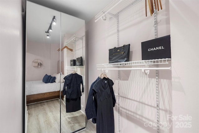 walk in closet featuring wood-type flooring