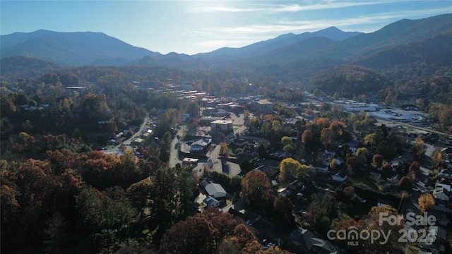 115 Woolsey Hts, Waynesville, NC 28786 - photo 2