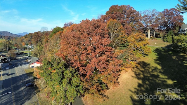 115 Woolsey Hts, Waynesville, NC 28786 - photo 4