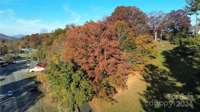 115 Woolsey Hts, Waynesville, NC 28786 - photo 5
