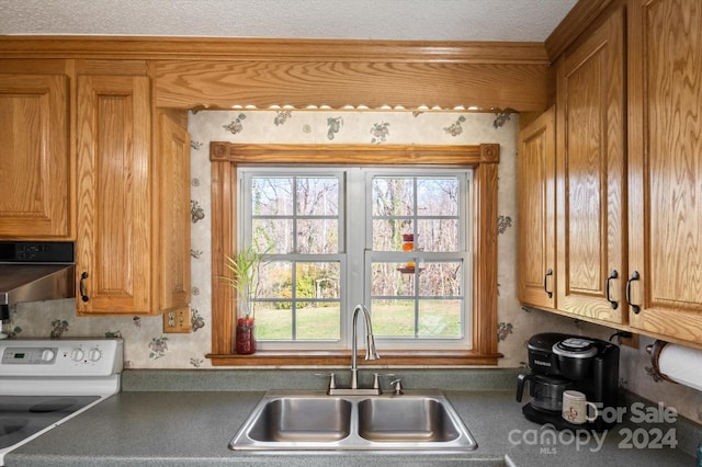 kitchen with stove and sink