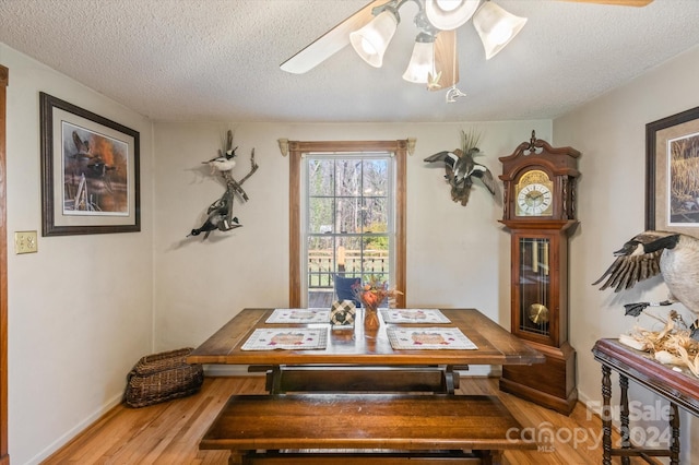 dining space with ceiling fan, a textured ceiling, and light hardwood / wood-style flooring