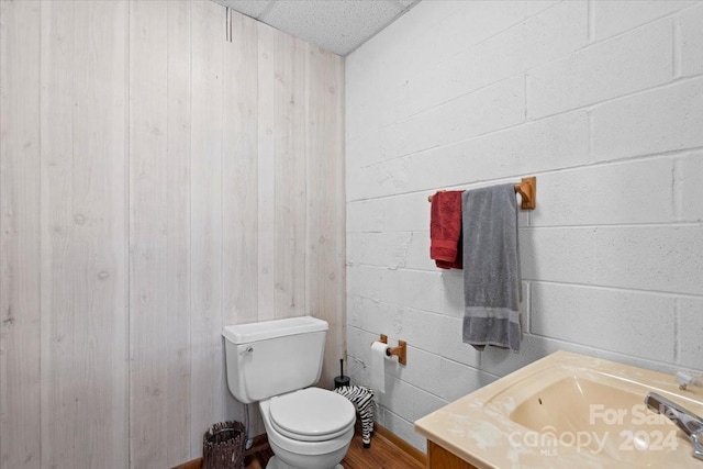 bathroom featuring vanity, wooden walls, and toilet