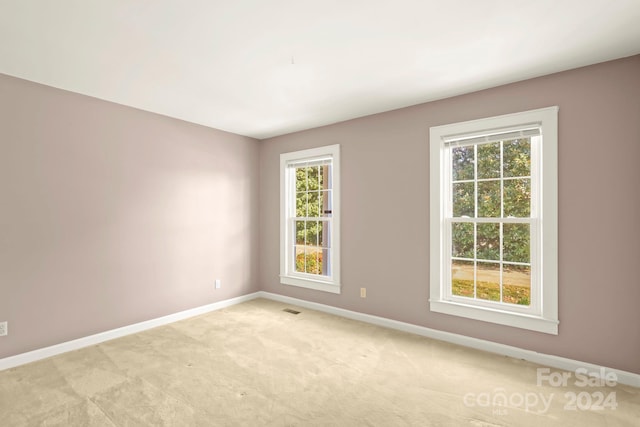 unfurnished room featuring light colored carpet and a wealth of natural light