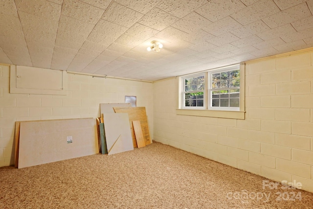 basement with carpet floors