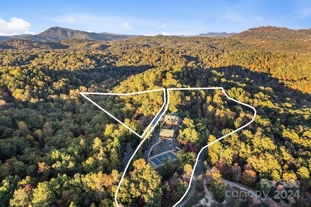 aerial view featuring a mountain view