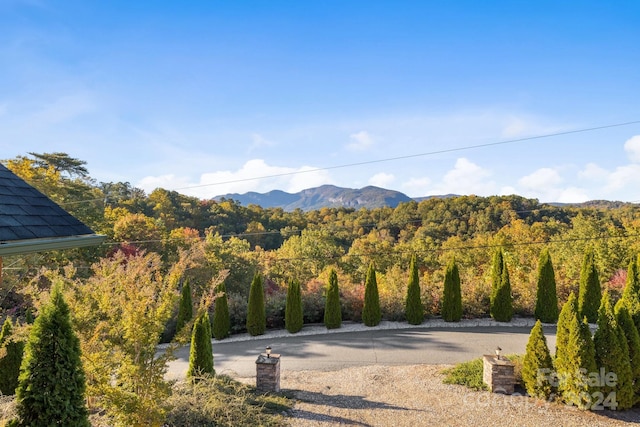 property view of mountains