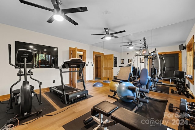 workout room featuring hardwood / wood-style floors and ceiling fan